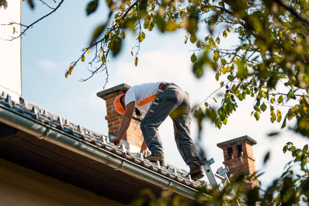 Roof Gutter Cleaning in Inver Grove Heights, MN
