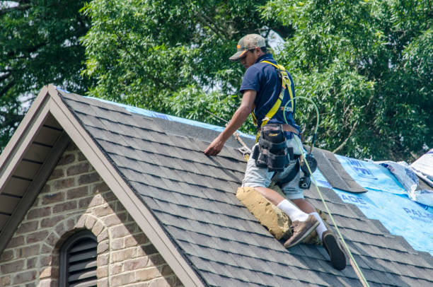 Residential Roof Replacement in Inver Grove Heights, MN